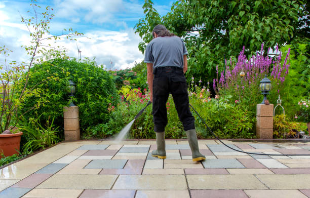 Animal Enclosure Cleaning in Southern View, IL