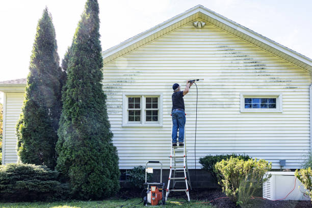 Best Fence Cleaning  in Southern View, IL